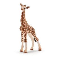 Młoda żyrafa SLH14751 red Schleich