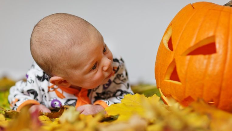 niemowlę patrzy na dynię halloween